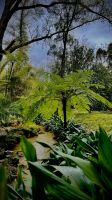 Parque Terra Nostra, São Miguel, Povoação, Azores, Portugal