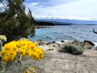 Wildromantischer Strand, Insel Rab