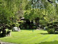 11. Tag – Von Tralee in die Wicklow Mountains – Japanischer Garten beim Irischen Nationalgestüt