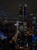 Blick von Tokyo Tower 