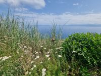 Insel Vulcano - Capo Geldso (Maulbeer-Kap)