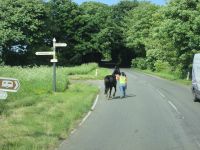 Polizistin mit Polizeipferd