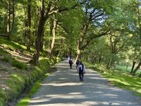 12. Tag – Erkundungen in den Wicklow Mountains – Wanderung in Glendalough