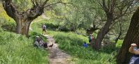 unser Picknick im Ihlaratal