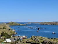 7. Tag – Erkundungen in Connemara – Fotostopp am Rosroe Pier am Killary Harbour