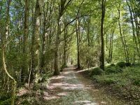 9. Tag – Wandern in Coole Park