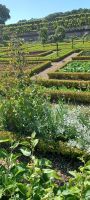 Gärten von Villandry
