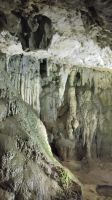 ebenda