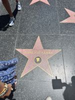 Hollywood Boulevard 