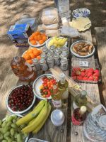 Picknick im Yosemite Nationalpark