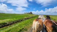 Kutschfahrt auf der Hallig Hooge