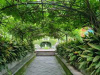 Lago Maggiore - Garten auf der Isola Madre (Mutterinsel)
