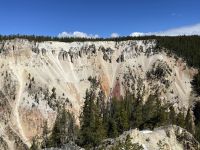 Yellowstone Nationalpark - Lower Yellowstone Wasserfall