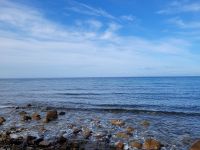 0302 ander Orientale