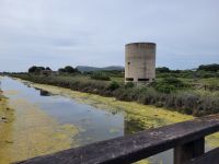 0502 Molentargius  Regionalpark