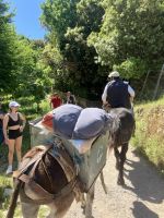 den Anstieg hat er geschafft 