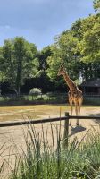 Jardin Zoologique de Champrépus
