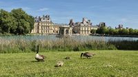 Château de Fontainebleau