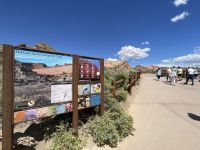 Besichtigung des Arches Nationalparks