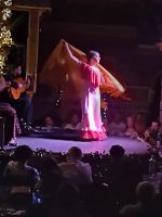 Die Flamenco Tänzerin - Tablao Bermejas - Madrid