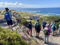 Spektakuläre Ausblicke auf die Küste