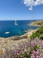 Mittagspause mit traumhaftem Meerblick