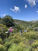 Unser Weg durch die sardische Macchia