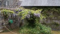 La Seigneurie, House and Gardens - Sark 