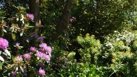 Seafields Gardens Privatgarten - Jersey