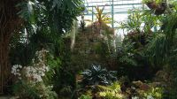 Eric Young Orchid Foundation - Jersey