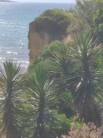 Natur pur am Fischerweg  