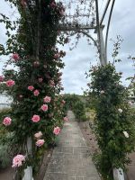 25.05.2025:  Botanischer Garten Samares Manor