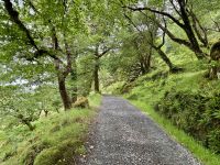 3. Tag – Im schönen County Donegal – Wandern im Glenveagh-Nationalpark