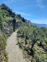 Weg nach Corniglia