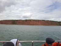 Bootsfahrt von Exmouth entlang der 