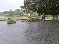 im Mount Edgcumbe Park