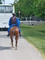 Ein Pusztahirte eskortiert den Bus