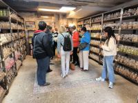 Amsterdam Kostproben 