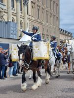 Stockholm - Wachablösung am Königlichen Schloss zum Nationalfeiertag am 6. Juni...