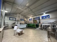 Olivenölproduktion (2)