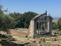 Appolonia (3)