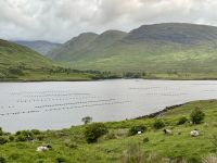 7. Tag – Leenaun bis Ennis – Fotostopp am Killary Harbour, Teil 1