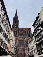 Tag 2 - Straßburger Münster 