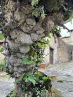 Spanien, Santillana del Mar