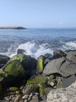 Strand von Ribeira Brava 