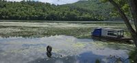 Medjuversje See (15)