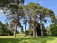 10. Tag – Ring of Kerry – Spaziergang vom Torc Waterfall zum Muckross House
