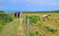 Wanderung an der Nordküste bei Grève de Lecq