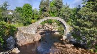 077 - Carrbridge