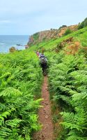 Wanderung an der Südküste von Jersey